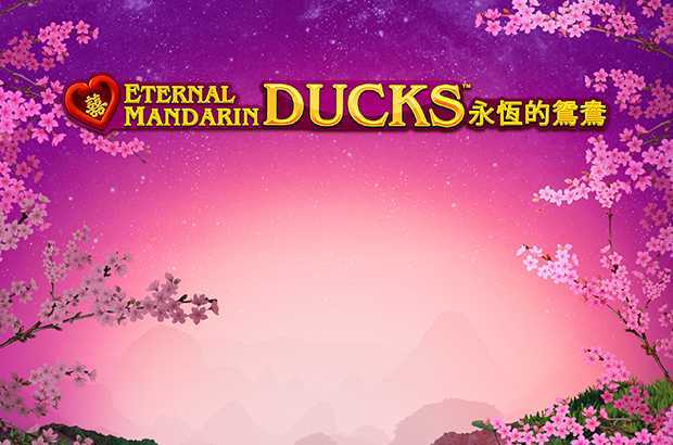 Power Prizes Eternal Mandarin Ducks Power Prizes Eternal Mandarin Ducks