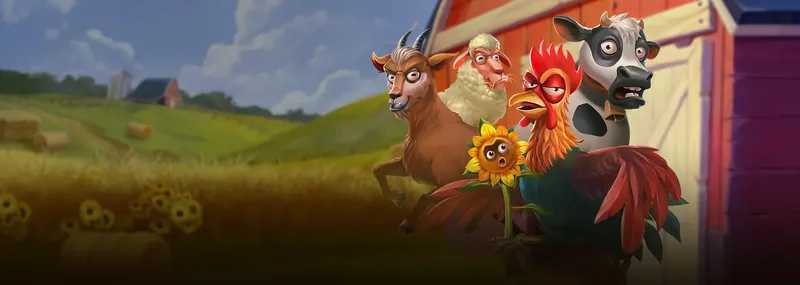 Animal Madness