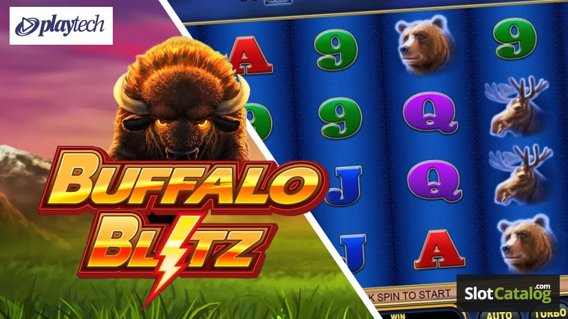 Buffalo Blitz