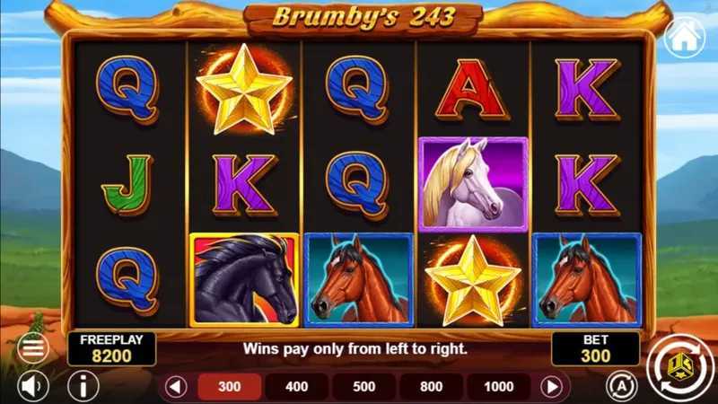 Play Brumby's 243