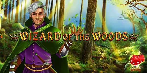 Wizard of the Woods