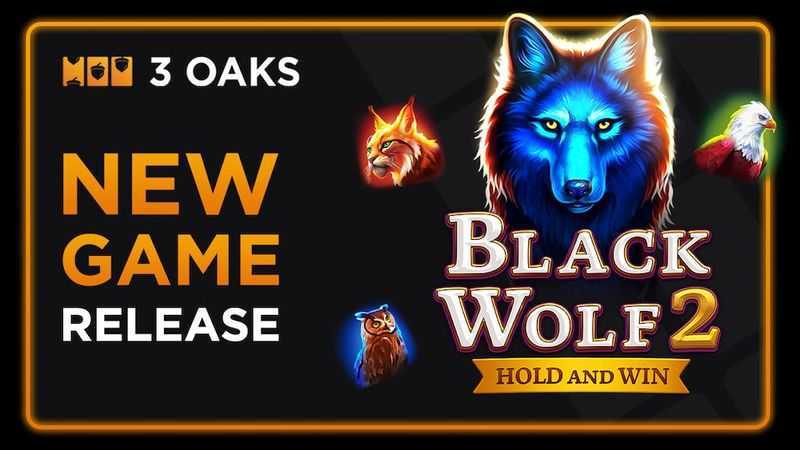 Play Black Wolf 2