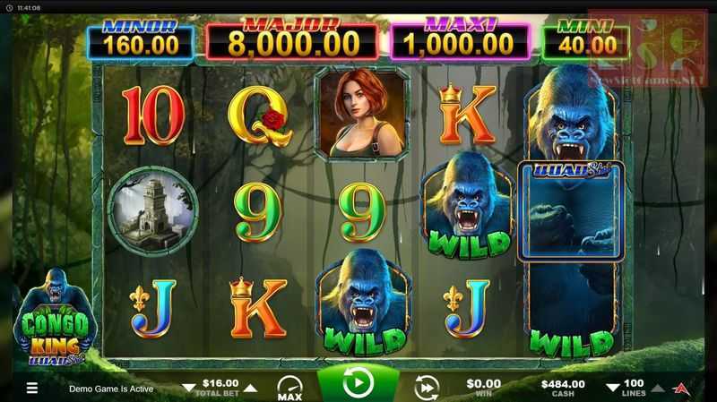 Congo King Quad Shot Congo King Quad Shot
