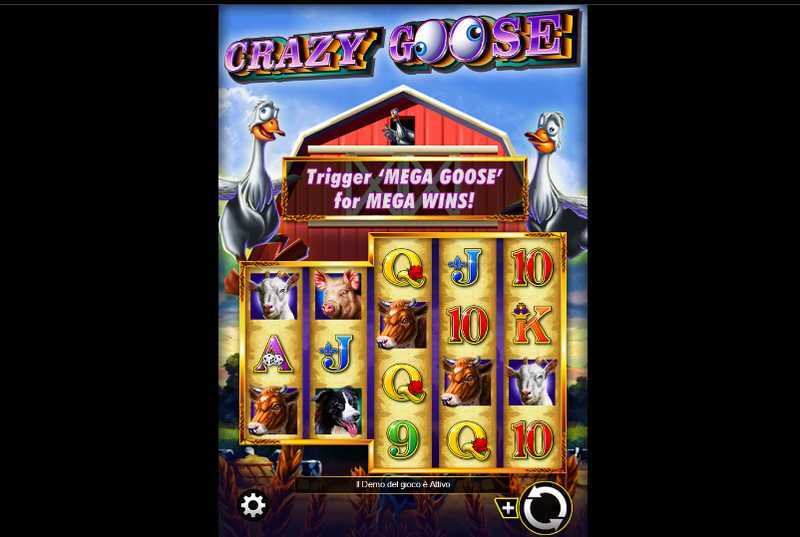 Play Crazy Goose