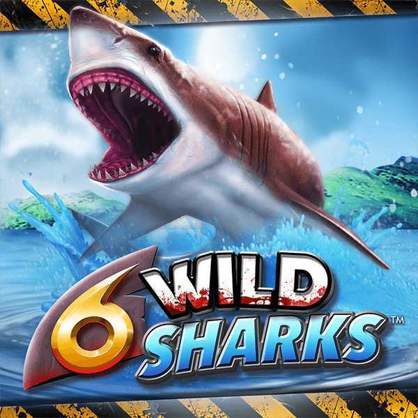 Play Crazy Shark