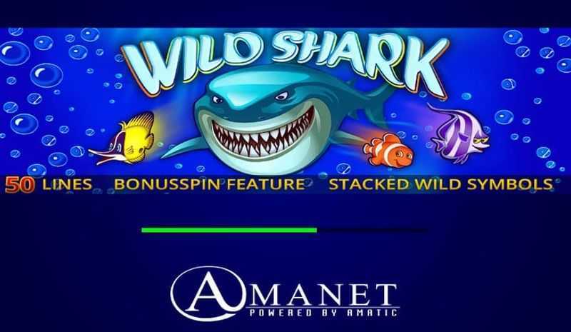 Play Wild Shark