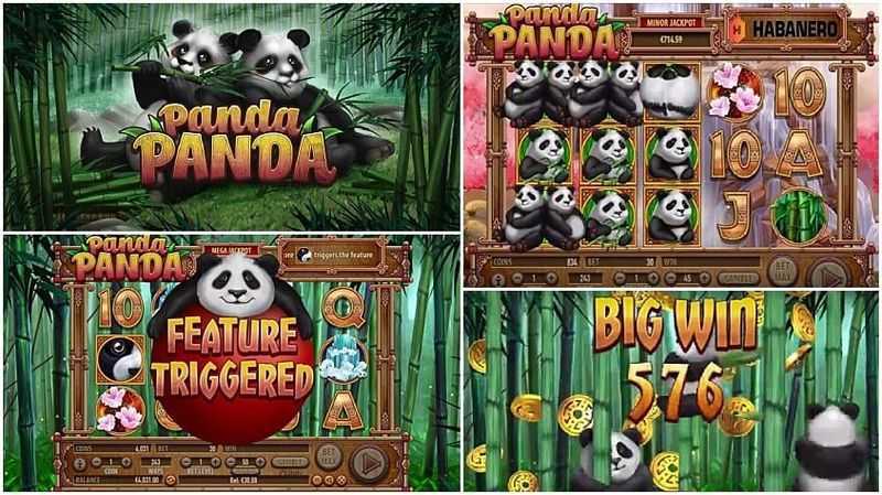 Play Panda