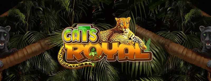 Play Cats Royal