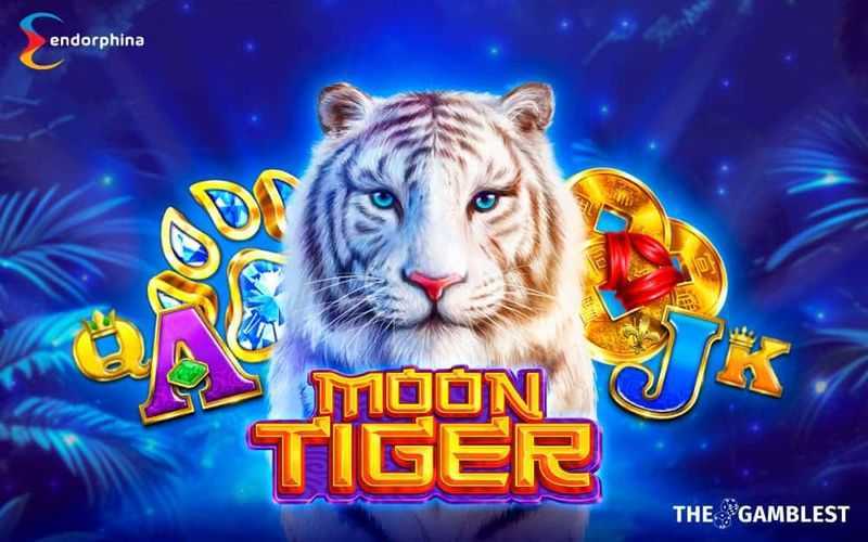 Play Tiger Moon