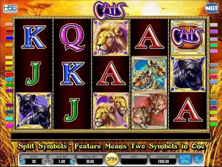 Play Casino Cats