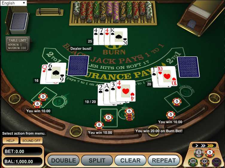 Play 21 Burn Blackjack