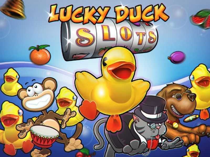 Play Lucky Duck