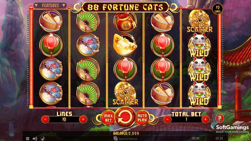 Play Cats Fortune