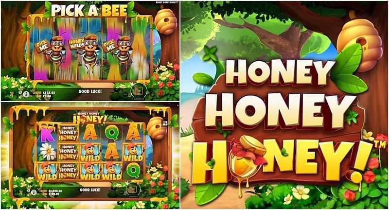 Play New Honey Bees