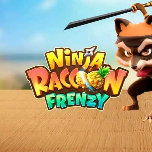 Play Ninja Raccoon