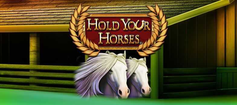 Play Hold your horses