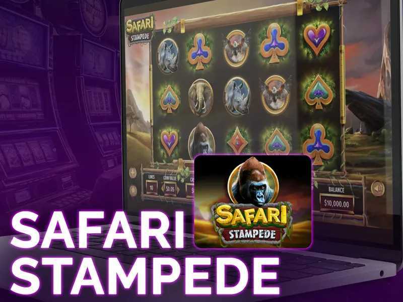 Play Safari Stampede