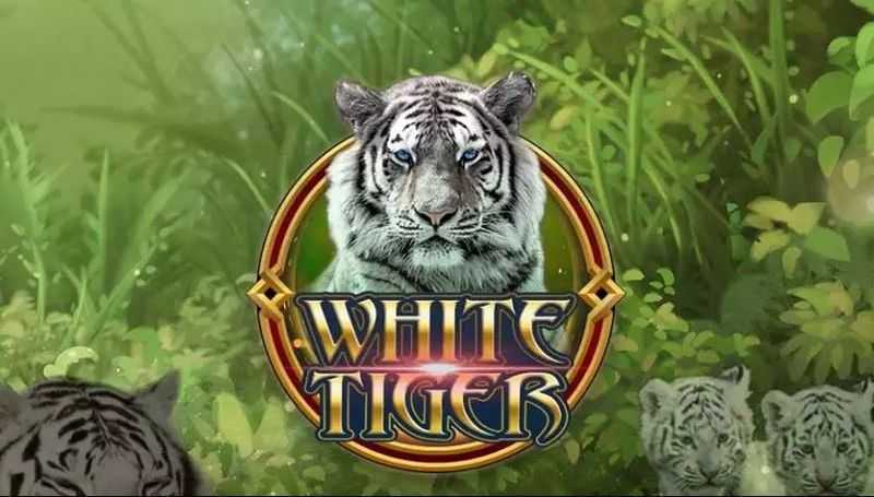 Play White Tiger