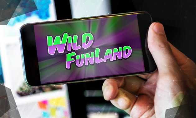 Play Wild Funland