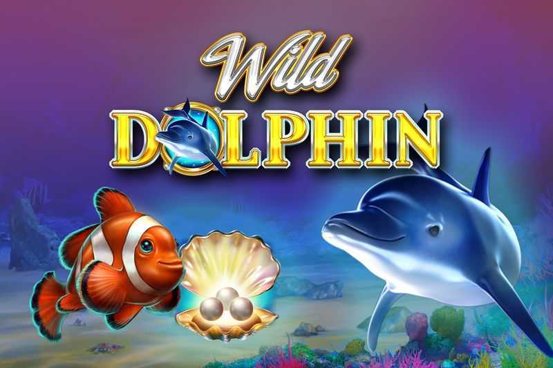 Play Wild Dolphin