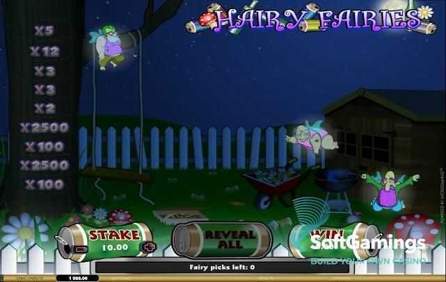 Play Hairy Fairies