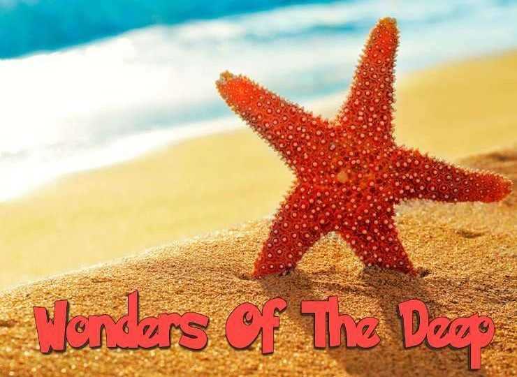 Slot Wonders of the Deep