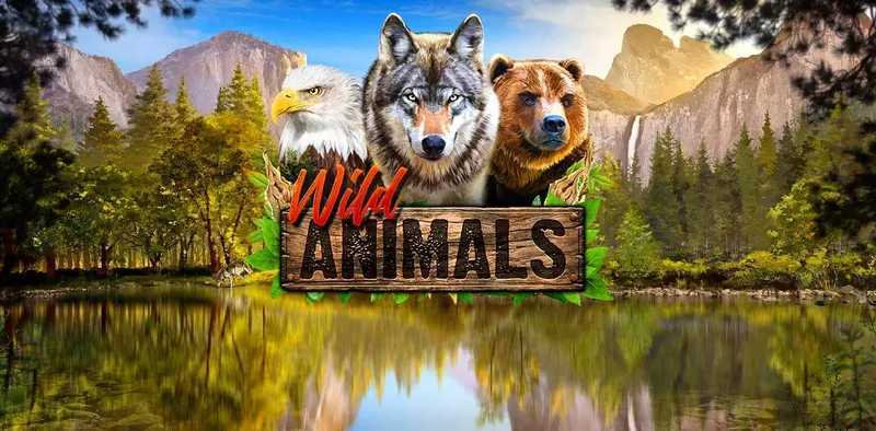 Play Animals