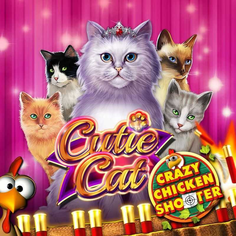 Play Cutie Cat CCS