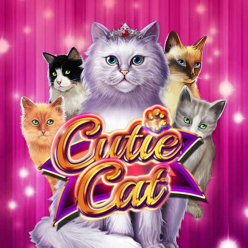 Play Cutie Cat