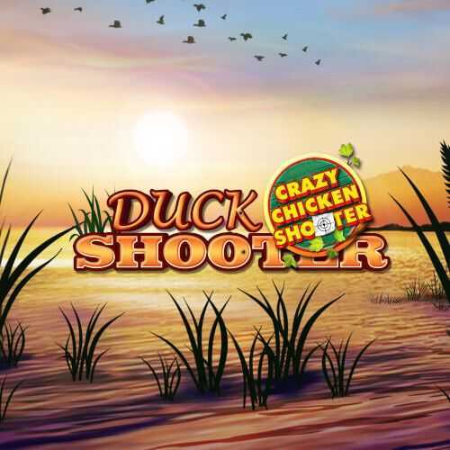 Play Duck Shooter CCS