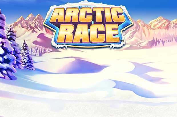 Play Arctic Race