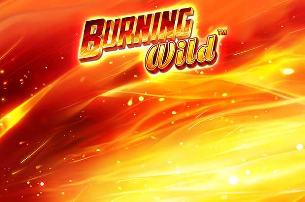 Play Burning WILD