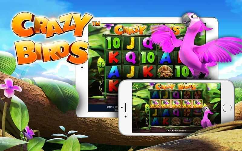 Play Crazy Birds