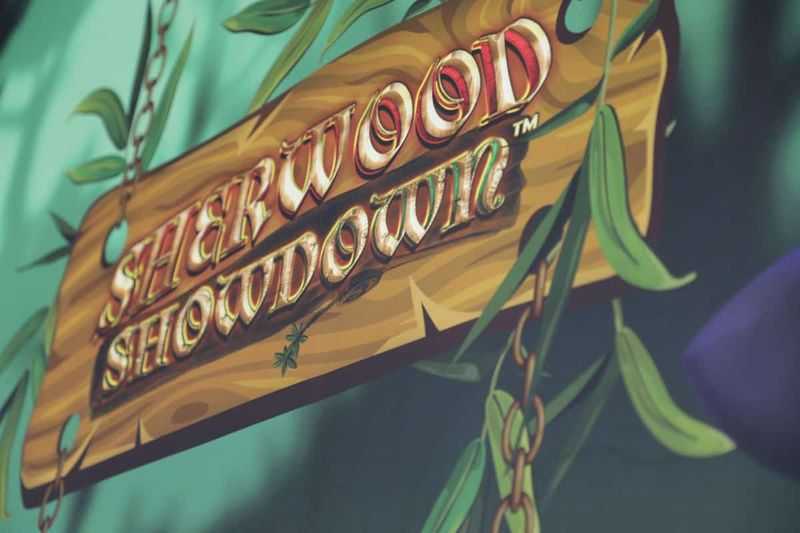 Play Sherwood Showdown