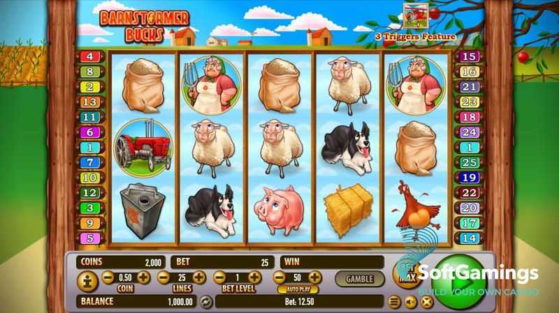 Play Barnstormer Bucks