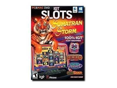 Play Sumatran Storm