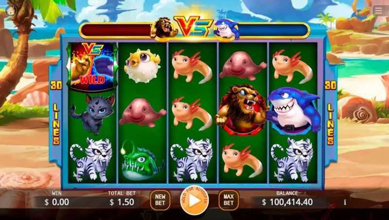 Play Lion vs Shark