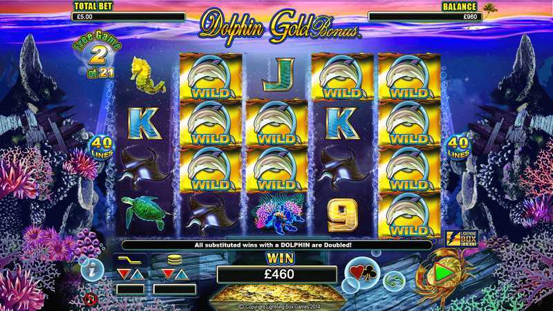 Play Dolphin Gold