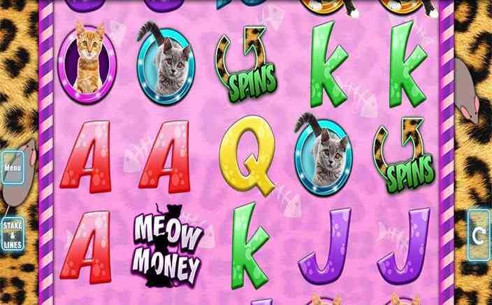 Play Meow Money