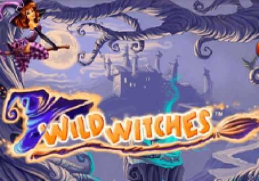 Play Wild Witches