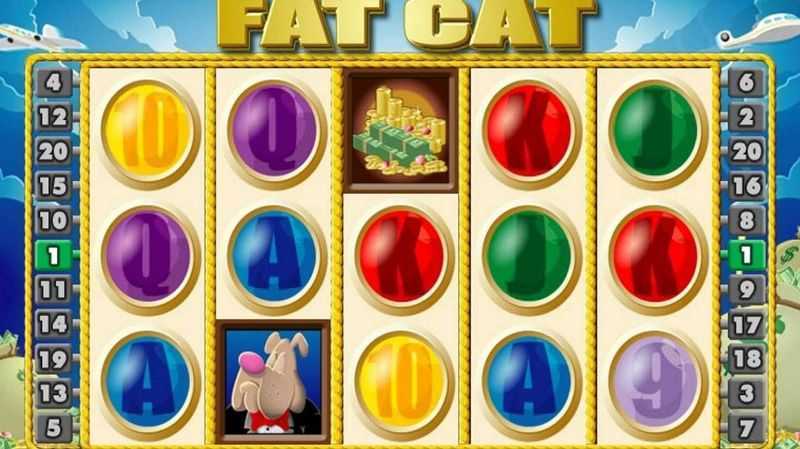 Play Fat Cat