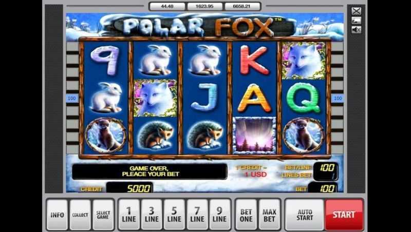 Play Polar Fox