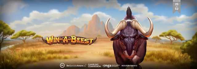 Win A Beest