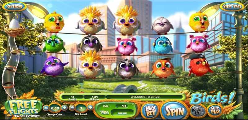 Play Birds of Magic