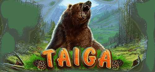 Play Taiga