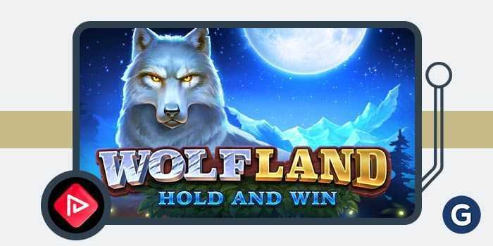 Play Wolf Land: Hold and Win