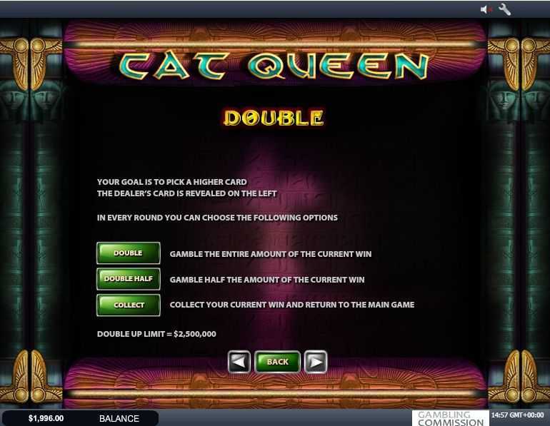 Play Cat Queen