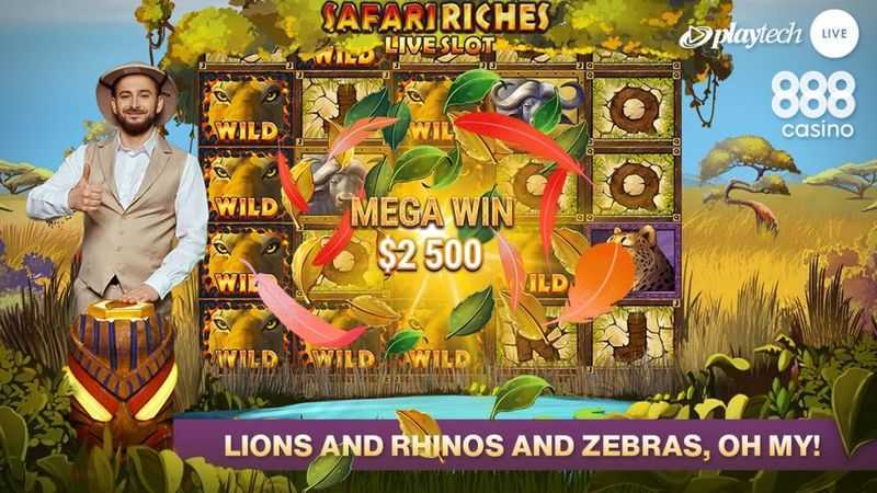 Play Safari Riches Live