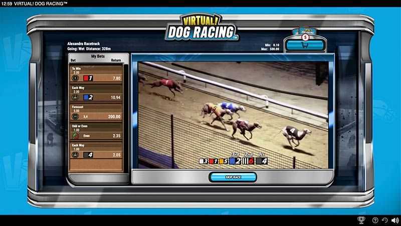 Play Virtual! Dog Racing