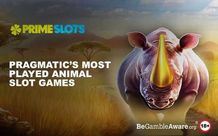 Play Animal Magic 1000